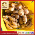 Wholesale Price Fresh Ginger New Crop